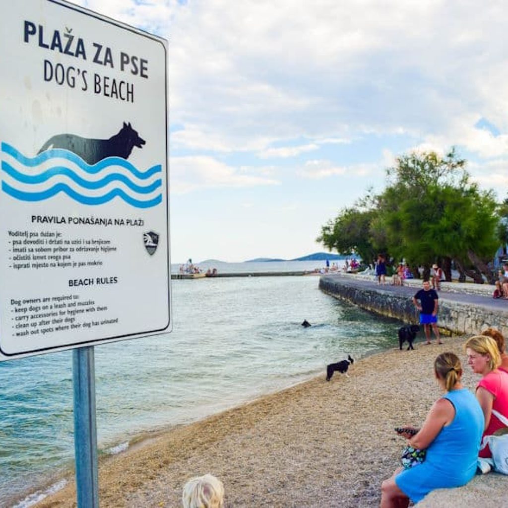 Hundestrand Kroatien Urlaub mit Hund